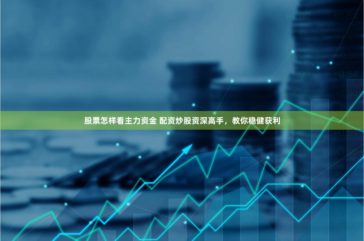 股票怎样看主力资金 配资炒股资深高手，教你稳健获利